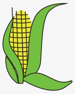 Corn Vector Graphics Pixabay Download Free Images
