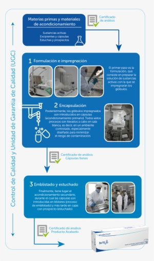 Producción Del Medicamento - Étapes De Fabrication D Un Médicament
