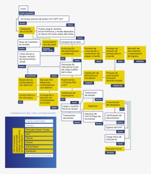 Proceso De Importación - Proceso De Importacion Guatemala
