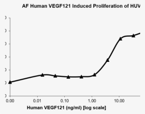 Recombinant Human Vegf-121 Isoform Protein - Plot