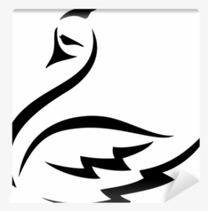 Contornos De Cisnes