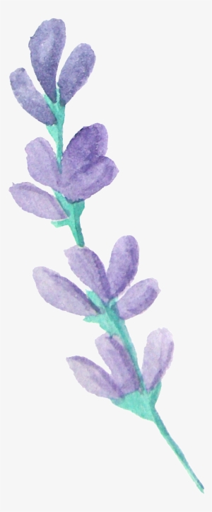 Scented Flower Branches Transparent Decorative - Portable Network Graphics