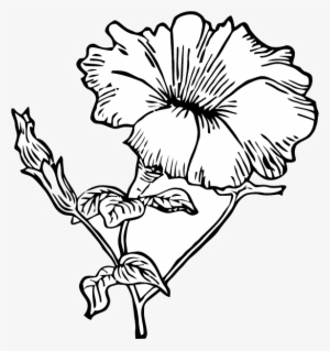 Petunia Flowers Clipart 3 By Jessica - Petunia Clip Art