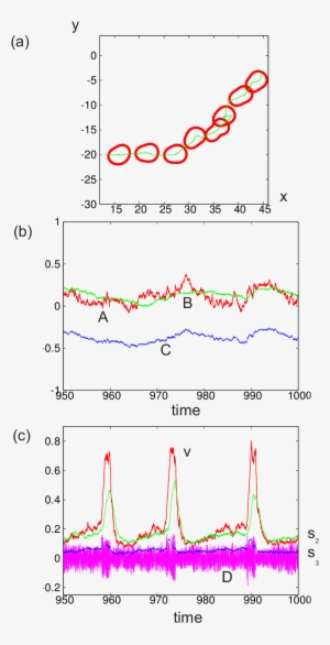 A) Trajectory Of The Center Of Mass (green Line) And - Diagram