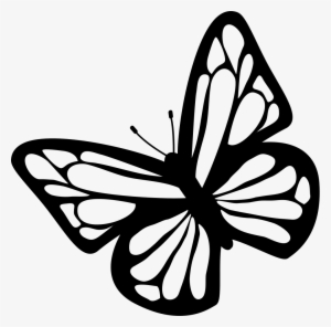 Butterfly Black And White Clipart Download Free Images - Free Butterfly Svg