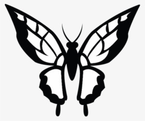 A Black And White Illustration Of A Butterfly