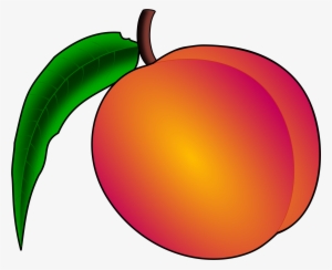 Mexicana Clipart - European Pallet Association E.v.