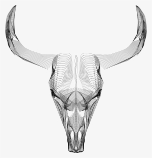 Wire-frame Skulls - Behance