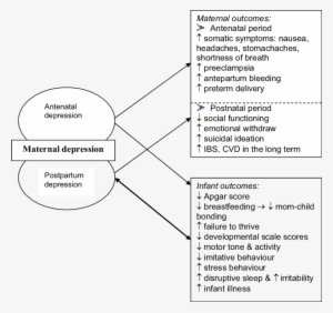 Apgarnamed After Dr Virginia Apgar For Assessing Appearance, - Irritability