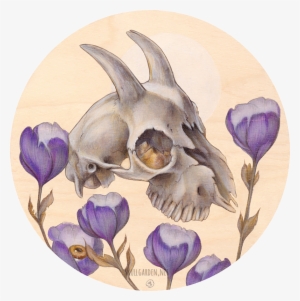 Goat Skull With Poppies, - Goat