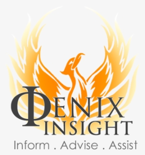 Fenix Insight