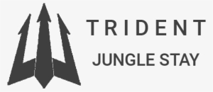 Trident Jungle Stay Trident Jungle Stay - Tampon