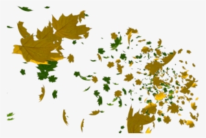 Leaves Beauty - Portable Network Graphics