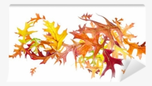 Flying And Spinning Autumn Leaves Isolated On White - Autumn