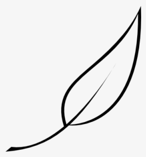 Leaf Logo Png White