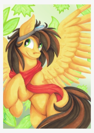 Hilis, Clothes, Flying, Goggles, Leaves, Male, Marker