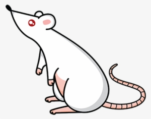 Dangers Of Mice And Rats - Cartoon