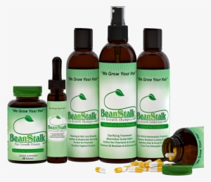 Beanstalk Oil Infusion, Hair Growth Vitamins & Shampoo - Beanstalk Hair Growth Products Review
