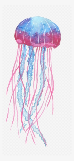 Box Jellyfish Png Transparent Image - Transparent Background Jellyfish Png