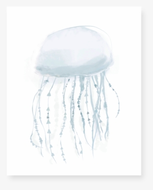 Jellyfish