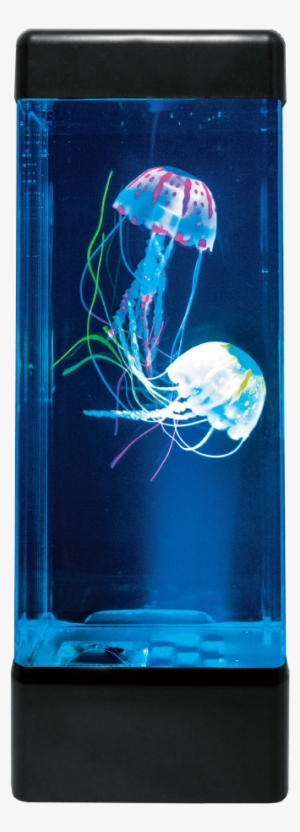 Jellyfish Aquarium - Gadget