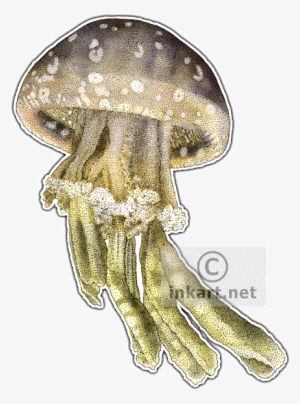 Spotted Jellyfish Decal - Jellyfish Of The World Queen Duvet