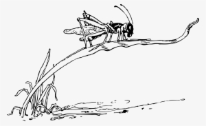 This Free Icons Png Design Of Grasshopper On Blade