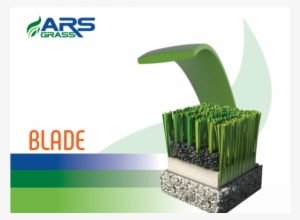 Specification - Shape