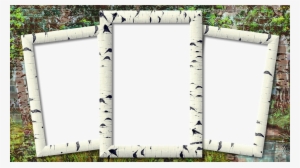 Frame, Photo Frame, Birch, Three Photo - Three Photo Frame Png