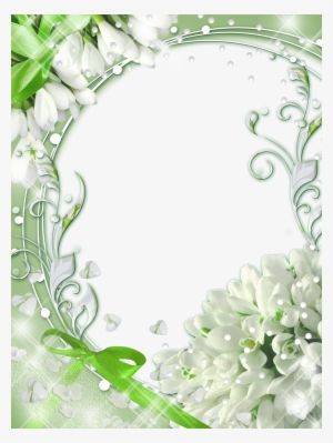 Png Photo, Invitation Background, Paper Background, - Png Frames Green