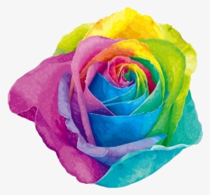 Instead - Colored Rose