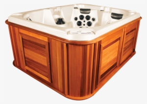 Arctic Fox - Arctic Spa Glacier