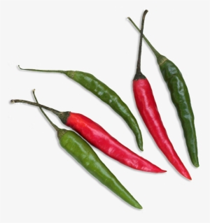 Diners With The Taste Of Real Thai Food, Preparing - Thai Food Ingredient Png