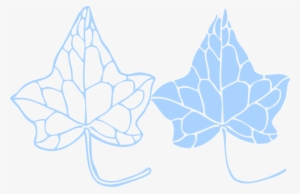 Ivy Leaf Clip Art