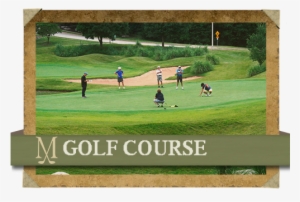 Previousnext - Artificial Turf