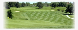 Home - Meadowlark Golf Course