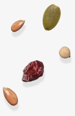 Food Ingredients - Date Palm