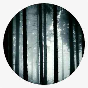 Circle Dark Forest Scary Icon Base Iconbackground - Dark Forest Icon