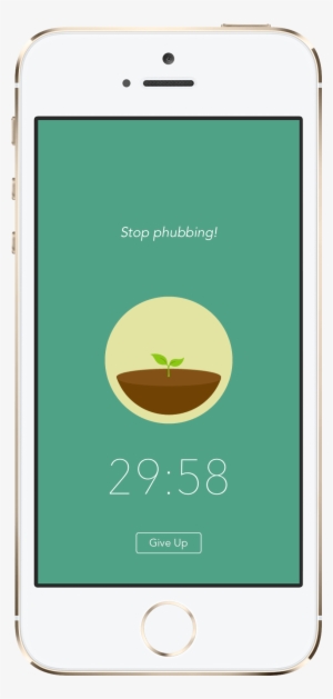 Forest - Forest Application