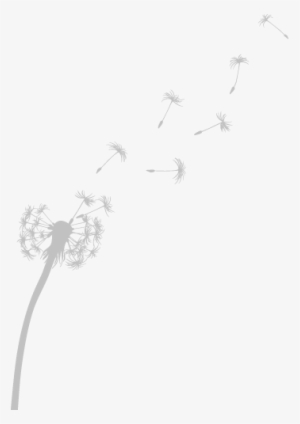Drawn Dandelion Transparent - Dandelion Transparent Icon Png