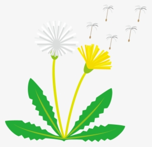 Dandelion Clipart - Yellow Dandelion Clip Art