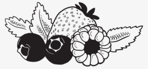 Looking For Other Ways To Enjoy Castello Cream Cheese