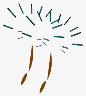 Seed