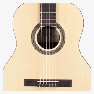 Cordoba Protégé Series C1m 1/2 Sized Classical Guitar - Cordoba Protege C1m - 3/4 Size (prot Guitar