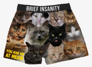 Cats Boxer Shorts You Had Me At Meow - Cat Boxers