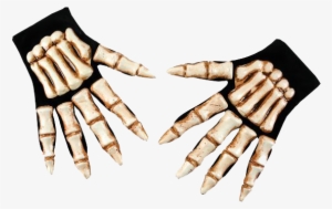 Skeleton Hands Halloween Costume - Costumes For All Occasions Pm342145 Skeleton Hands