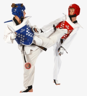 Champions At Life - Taekwondo Player Png