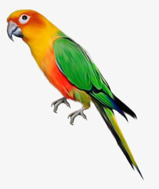 Read This Book On Giflingua - Parrot Png