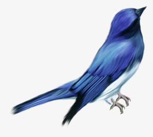 Different Birds, Outdoor Patios, Outdoor Garden Decor, - Pajaro Png