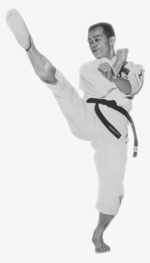 The Jhoon Rhee Institute Of Tae Kwon Do Offers One - Jhoon Rhee Tae Kwon Do